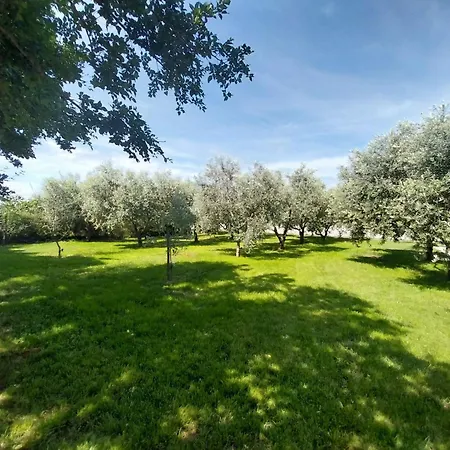 Tatil Evi Hacienda Matea - Oase Der Romantik In Strandnaehe By Interhome