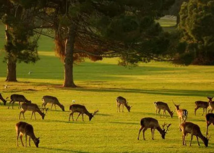 Hacienda Matea - Oase Der Romantik In Strandnaehe By Interhome Vakantiehuis Pula