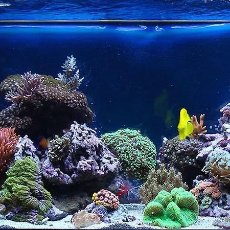 Hacienda Matea - Oase Der Romantik In Strandnaehe By Interhome * Pula