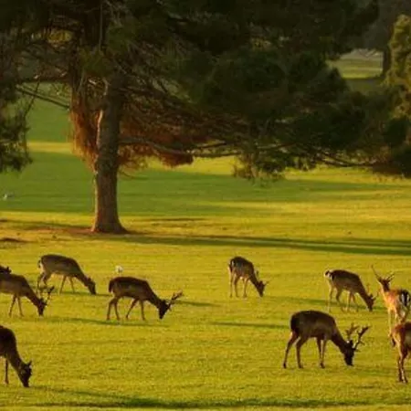 Hacienda Matea - Oase Der Romantik In Strandnaehe By Interhome Semesterbostad Pula