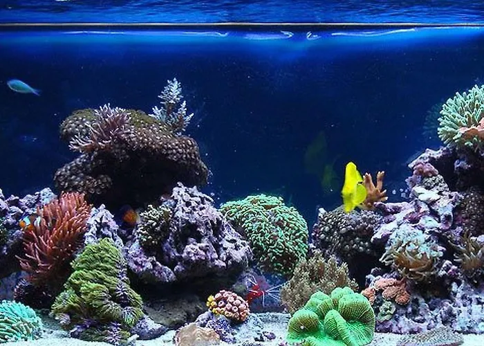 Hacienda Matea - Oase Der Romantik In Strandnaehe By Interhome * Pula